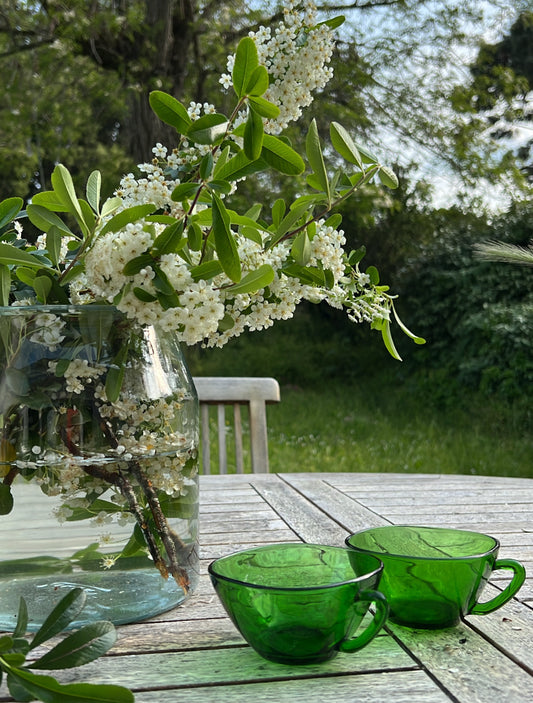 Green Tinted Coffee Cups